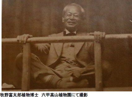 六甲高山植物園 開園90周年特別企画『牧野の足あと ～神戸で見つける博士と植物～』ROKKO森の音ミュージアム『牧野富太郎のみちくさ～音楽、書、人々との交流～』