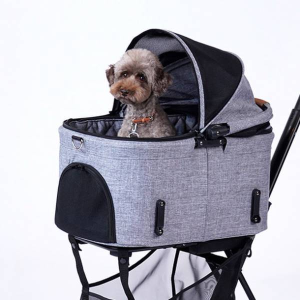 空港も機内もペットカートでスムーズに移動！ペットとの楽しい空の旅を提案　スターフライヤーの機内ペット同伴サービス「FLY WITH PET !」にエアバギーのコンパクトカート「AIRBUGGY FITT SERIES WIZ(ウィズ)」が採用されました