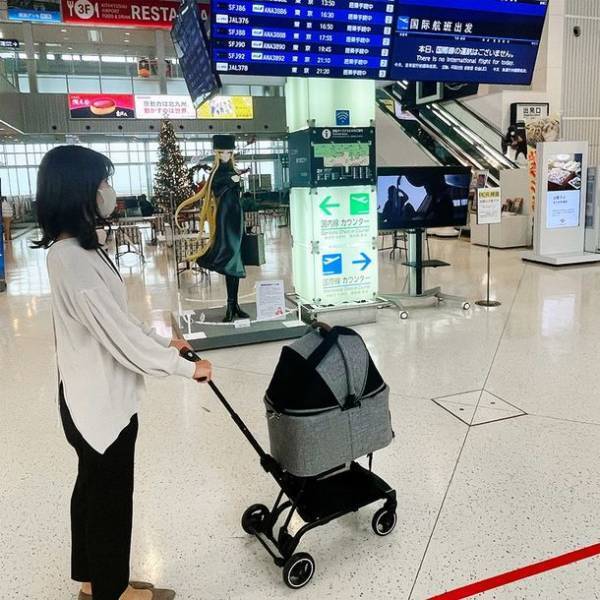 空港も機内もペットカートでスムーズに移動！ペットとの楽しい空の旅を提案　スターフライヤーの機内ペット同伴サービス「FLY WITH PET !」にエアバギーのコンパクトカート「AIRBUGGY FITT SERIES WIZ(ウィズ)」が採用されました