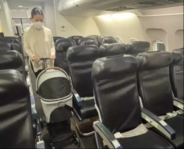 空港も機内もペットカートでスムーズに移動！ペットとの楽しい空の旅を提案　スターフライヤーの機内ペット同伴サービス「FLY WITH PET !」にエアバギーのコンパクトカート「AIRBUGGY FITT SERIES WIZ(ウィズ)」が採用されました