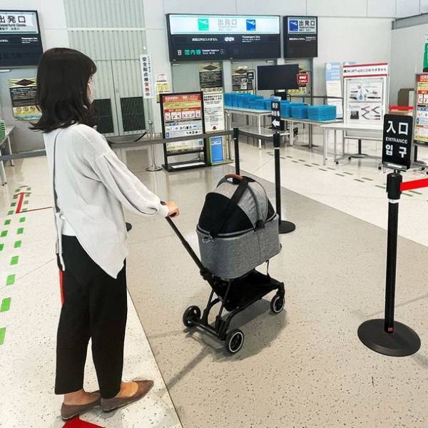 空港も機内もペットカートでスムーズに移動！ペットとの楽しい空の旅を提案　スターフライヤーの機内ペット同伴サービス「FLY WITH PET !」にエアバギーのコンパクトカート「AIRBUGGY FITT SERIES WIZ(ウィズ)」が採用されました