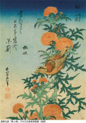 北斎一門の描いた色々な鳥たちの作品を多数展示　企画展「北斎バードパーク」が3月14日から開催