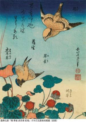 北斎一門の描いた色々な鳥たちの作品を多数展示　企画展「北斎バードパーク」が3月14日から開催