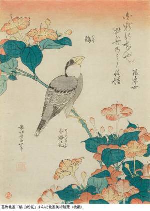 北斎一門の描いた色々な鳥たちの作品を多数展示　企画展「北斎バードパーク」が3月14日から開催