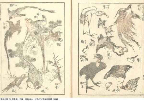 北斎一門の描いた色々な鳥たちの作品を多数展示　企画展「北斎バードパーク」が3月14日から開催
