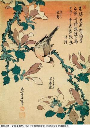 北斎一門の描いた色々な鳥たちの作品を多数展示　企画展「北斎バードパーク」が3月14日から開催