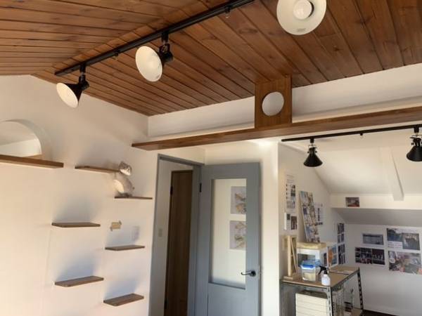 「猫と快適に暮らせる」シアワセのカタチ、猫ちゃんリフォームの先駆け、櫻建設が12月19日(月)、『猫フェス2022！』を開催！