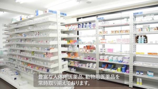 動物病院向け調剤薬局サービス「12薬局」が先進的防災技術実用化支援事業に採択
