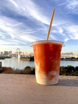 アニミルお台場店・心斎橋店 お正月イベント2店舗同時開催！～2023年の主役の動物があなたの運勢を占います～