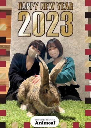 アニミルお台場店・心斎橋店 お正月イベント2店舗同時開催！～2023年の主役の動物があなたの運勢を占います～