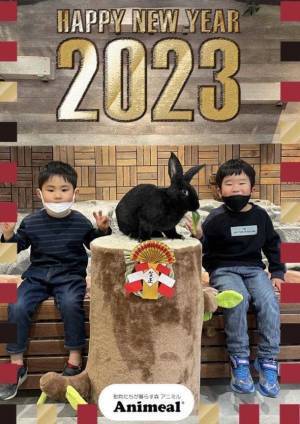 アニミルお台場店・心斎橋店 お正月イベント2店舗同時開催！～2023年の主役の動物があなたの運勢を占います～
