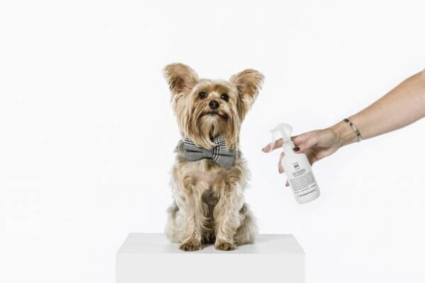日本初！オーストラリアで大人気のヤギミルク配合、乾燥肌・敏感肌の犬猫も優しく洗えるプレミアムなペット用シャンプー『HOUNDZTOOTH(ハウンズトゥース)』の輸入販売開始