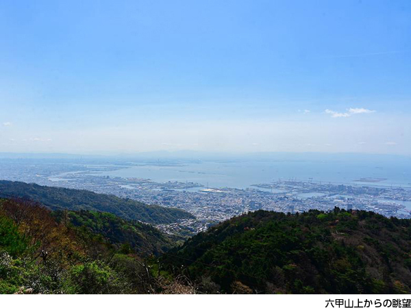 六甲ミーツ・アート芸術散歩2023「beyond」開催決定！新しい芸術祭として生まれ変わります