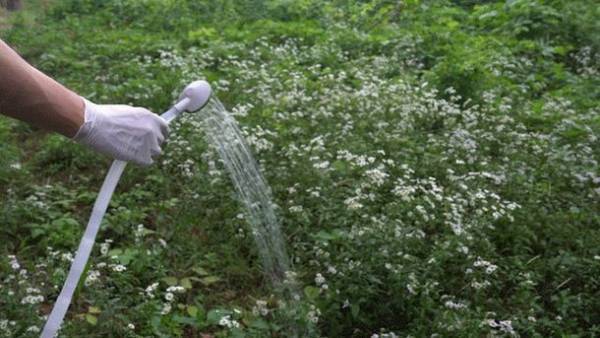 両手が使える幸せ！単三電池でどこでも快適水仕事　“魔法のアウトドアポンプ”日本先行予約販売を2023年2月20日(月)まで実施