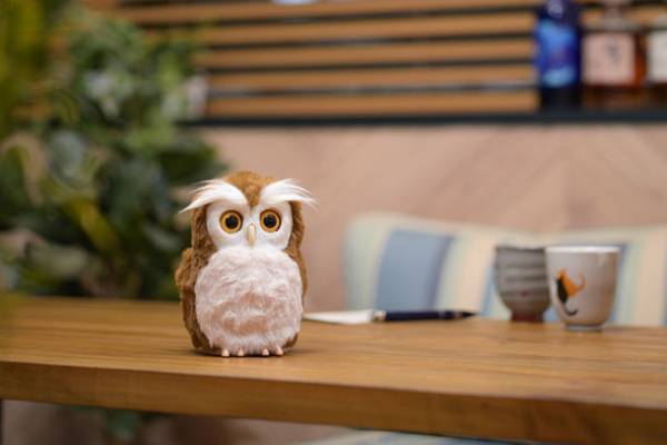 見た目も触り心地も本物そっくりで愛らしい手のひらサイズのペットロボット　開運アドバイザー「ハッピーふくろう」　2023年1月11日(水)発売