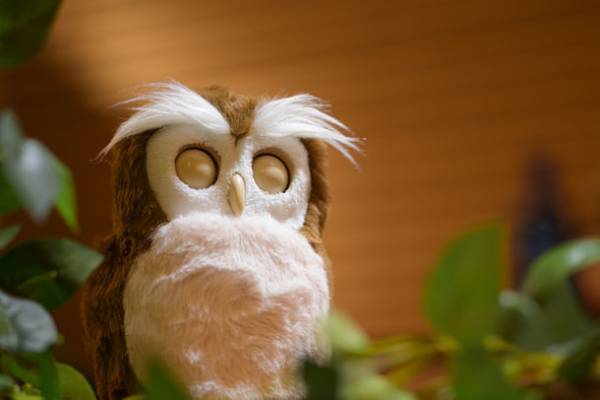 見た目も触り心地も本物そっくりで愛らしい手のひらサイズのペットロボット　開運アドバイザー「ハッピーふくろう」　2023年1月11日(水)発売