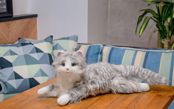 見た目も動きも鳴き声も本物そっくりな、とても愛らしい「ねこ型ペットロボット」　しっぽふりふり あまえんぼうねこちゃん 新色アイスグレー　2023年1月11日(水)発売