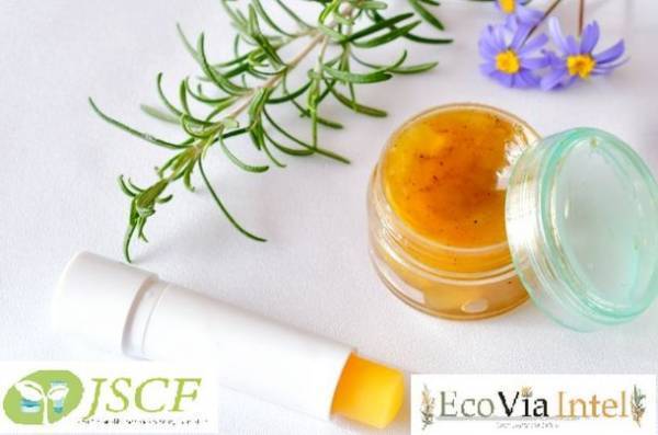 サステナブル美容の専門家による共同論文「サステナブル化粧品に関する認証と生物多様性との関わり」を発表