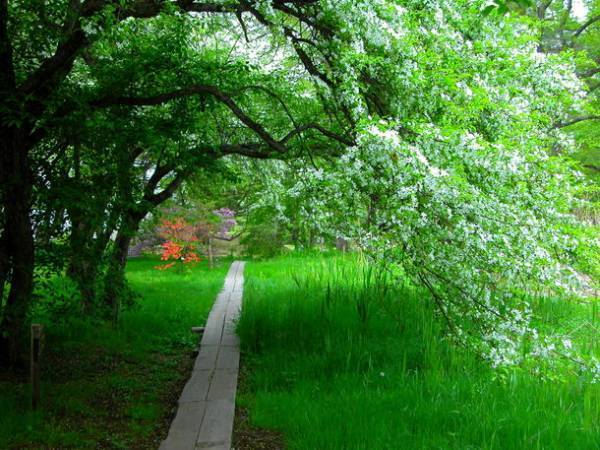 広大な敷地を持つ「草津温泉 ホテルヴィレッジ」がホテル周遊WEBフォトラリー「CRYPTRIP VILLAGE」販売開始