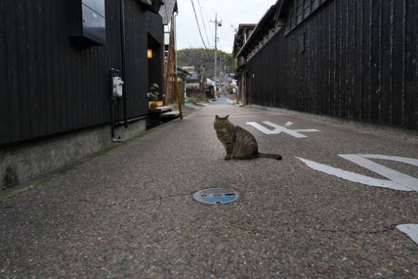 「津山街デザイン創造研究所」の作成事業プランが、観光庁「2022年度・地域一体となった観光地の再生・観光サービスの高付加価値化事業」に採択