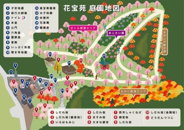 京都洛北『花宝苑』、6月に11種類11,000株の「あじさい園」を公開　6月4日(日)開園記念コンサート「お寺でジャズ」の開催決定！