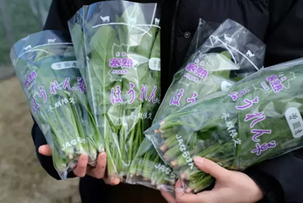 東京で奈良を知る「奈良まほろば館」1月イベント案内　関西随一の“いちご”フェア・冬の美味をお届け