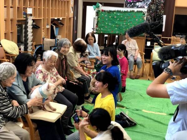 セラピー犬と泊まることができる家「るーちゃんち」　1月6日に応援購入サービスを開始