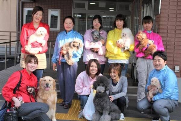 セラピー犬と泊まることができる家「るーちゃんち」　1月6日に応援購入サービスを開始