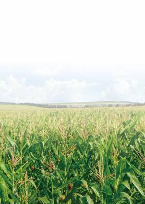 遠赤外線のチカラで体を温め、体の動きを快適にする木製アクセサリー「JUST TOUCH」を販売開始！どんな装いにもフィットするシンプルなデザイン