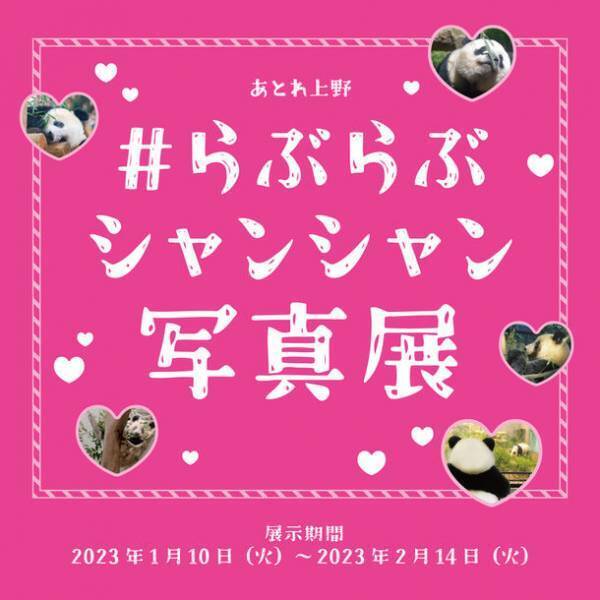 アトレ上野で「＃らぶらぶシャンシャン写真展」を開催　シャンシャンのオリジナルBIG缶バッジをプレゼント！