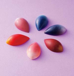 池袋東武がバレンタイン催事『ショコラマルシェ』を2023年1月31日より期間限定で開催！～「ヘルシー＆サステナブル」を含む約75店舗が集結～