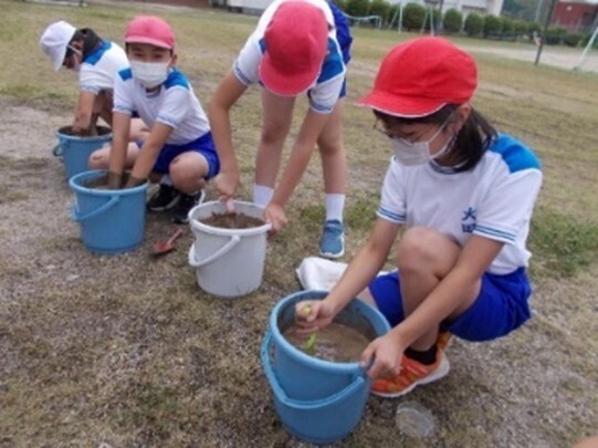お家のベランダや学校で稲づくりにチャレンジ！ 配布開始から1,120万セットを突破！身近な場所で食育体験「バケツ稲づくり」令和5年1月10日(火)より先行予約申込受付開始