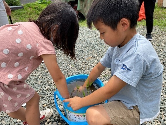 お家のベランダや学校で稲づくりにチャレンジ！ 配布開始から1,120万セットを突破！身近な場所で食育体験「バケツ稲づくり」令和5年1月10日(火)より先行予約申込受付開始