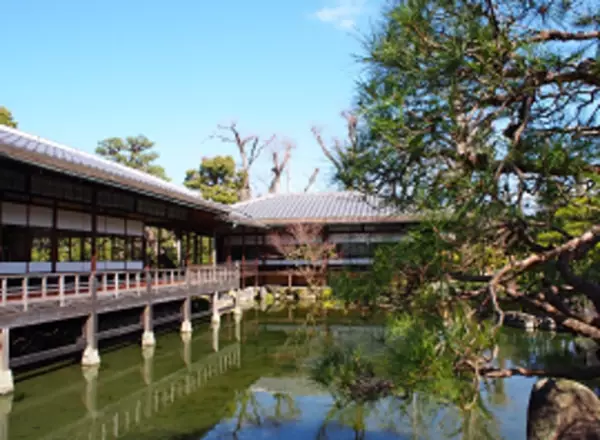 京都・東本願寺の庭園を堪能　御用庭師が名勝 渉成園の魅力を伝えるイベント、1月9日～29日開催