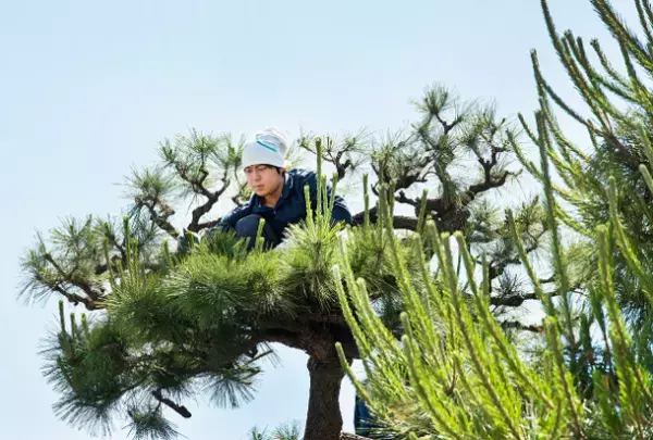 京都・東本願寺の庭園を堪能　御用庭師が名勝 渉成園の魅力を伝えるイベント、1月9日～29日開催