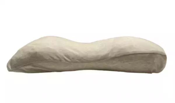 鳥取発の消臭・抗菌力を生かした柿渋染め衣類ブランド「kakikko」が新作「柿渋染めカバー枕」を発表　～鳥取県 ビッググロウス株式会社の新商品～