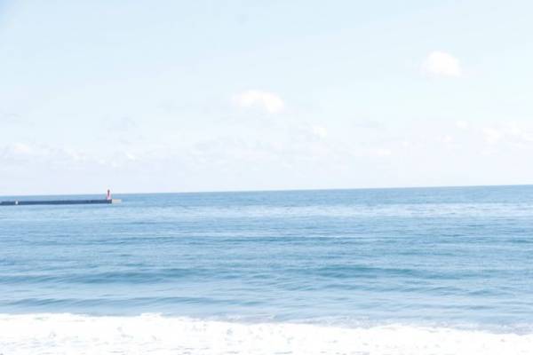 “もっと近くで、もっと驚きを”　驚きの新世海『オーシャンテラス』2023年3月21日(火・祝)リニューアルオープン！