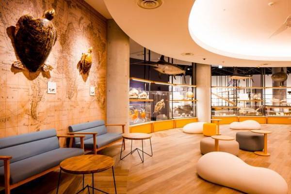 アクアワールド・大洗で“癒しとときめきがいっぱい”の特別な夜を過ごそう　「バレンタインナイト」2月11日(土・祝)開催〈 https://www.aquaworld-oarai.com/2023/01/12/vd2023 〉