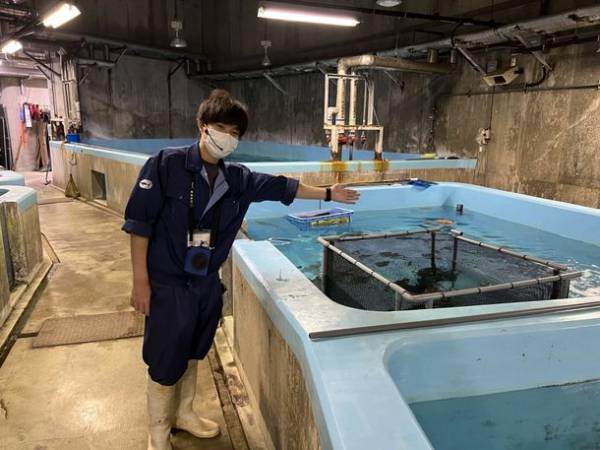 アクアワールド・大洗で“癒しとときめきがいっぱい”の特別な夜を過ごそう　「バレンタインナイト」2月11日(土・祝)開催〈 https://www.aquaworld-oarai.com/2023/01/12/vd2023 〉