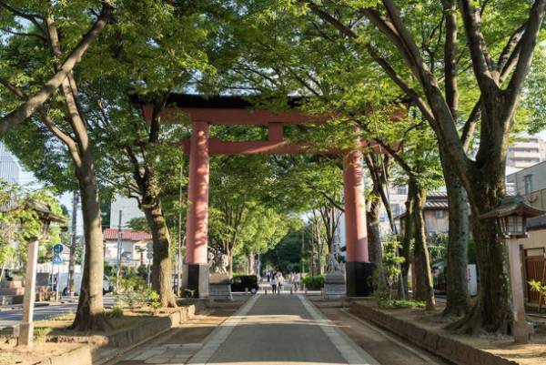 『Bibli』氷川参道から大宮公園を巡る、人力車ツアーの開催