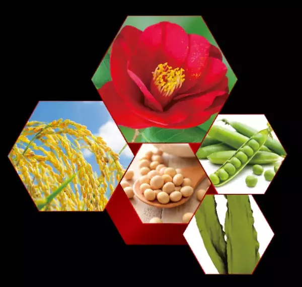 人生を豊かな健やかさで満たす「YUTAKAMI(ユタカミ)」、誕生。