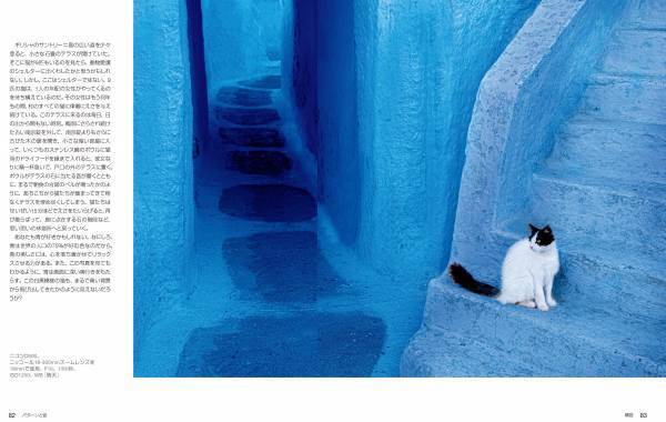 ナショナル ジオグラフィックプロの撮り方 ストリートフォト発売中！