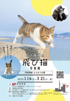 五十嵐 健太「飛び猫写真展」が2023年1月14日から郵政博物館で開催、ワークショップや猫フリマなど関連イベントの開催が決定