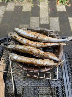 陶器で二次燃焼する焚き火台「焚き火鉢　栄」がCAMPFIREにて販売受付を1月15日から2月28日まで実施！福島県の“大堀相馬焼”