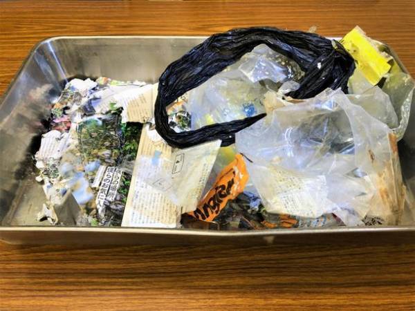 グソくんと行く！深海探検-しな水の深海生物み～つけた！-深海生物に触れる人気イベント「深海生物ふれあいタッチ」や「モザイクタイルワークショップ」を同時開催！！2023年1月21日(土)～2月27日(月)