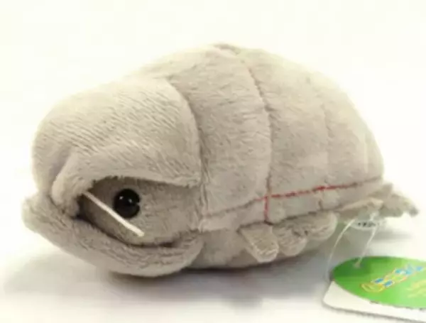 グソくんと行く！深海探検-しな水の深海生物み～つけた！-深海生物に触れる人気イベント「深海生物ふれあいタッチ」や「モザイクタイルワークショップ」を同時開催！！2023年1月21日(土)～2月27日(月)