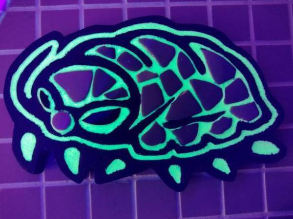 グソくんと行く！深海探検-しな水の深海生物み～つけた！-深海生物に触れる人気イベント「深海生物ふれあいタッチ」や「モザイクタイルワークショップ」を同時開催！！2023年1月21日(土)～2月27日(月)