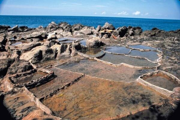 イカットの魅力とその背景にある島の人々の生活文化をたばこと塩の博物館で1月21日(土)～4月9日(日)開催