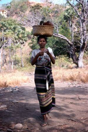イカットの魅力とその背景にある島の人々の生活文化をたばこと塩の博物館で1月21日(土)～4月9日(日)開催