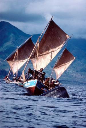 イカットの魅力とその背景にある島の人々の生活文化をたばこと塩の博物館で1月21日(土)～4月9日(日)開催